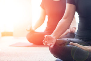 Raja Yoga Teacher Training – 2018 @ Yogaville, USA | Buckingham | Virginia | United States