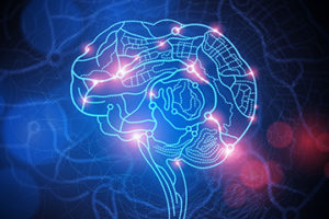 Neuroscience, Yoga, and Mindfulness Five-Day Retreat: Powerful Tools for Healing @ Yogaville, USA | Buckingham | Virginia | United States