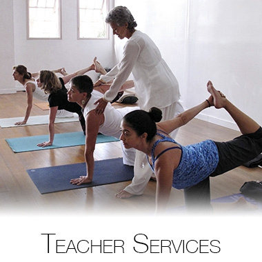 綜合瑜伽服務 - 教師服務