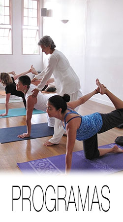 Integral Yoga Programs