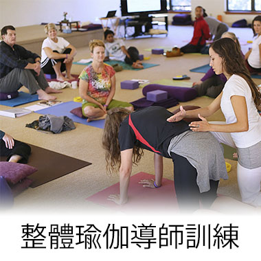 integral yoga teacher training
