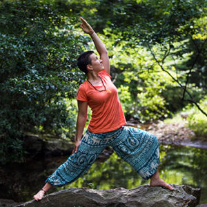 Integral Yoga® 200-hour Teacher Training – Spring 2018 @ Integral Yoga Academy | Buckingham | Virginia | United States